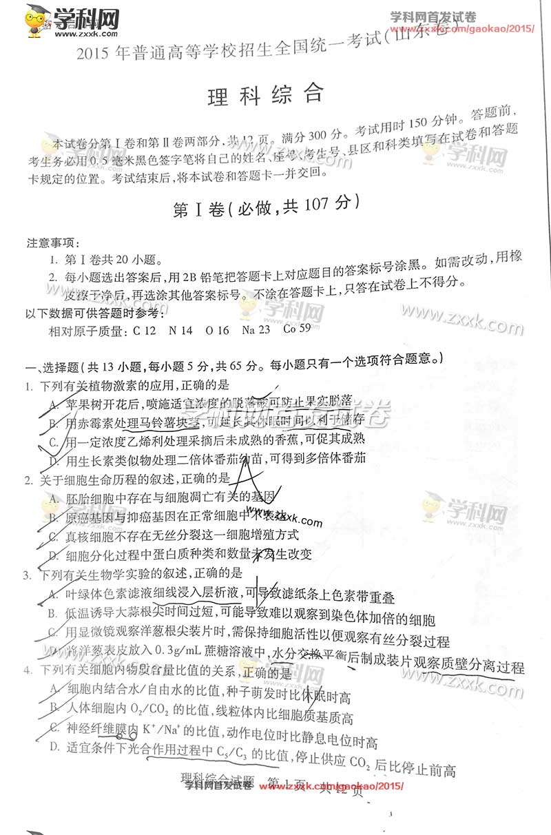 2015��ɽ���߿��������⼰�𰸣�ͼƬ��