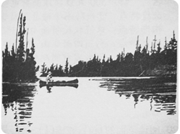 2014年安徽高考试题库语文试题及答案(word版)