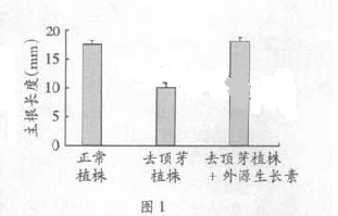 2013年广东高考试卷及答案生物试题