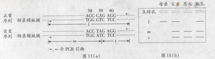 2013年广东高考试卷及答案生物试题