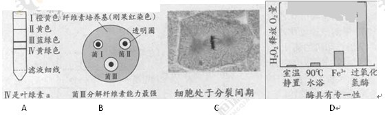 2013年广东高考试卷及答案生物试题