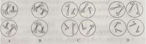 2017陕西高考试题库理综试卷(word版)
