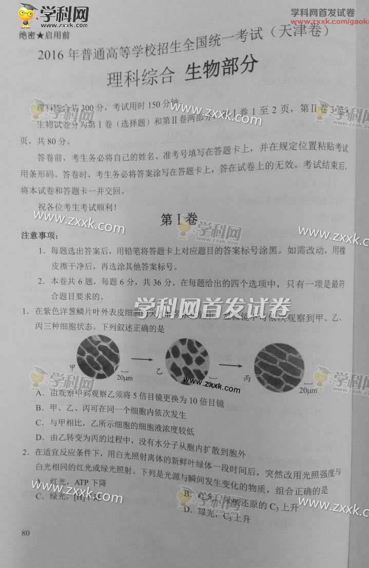 2016�����߿��������⼰�𰸣�ͼƬ��