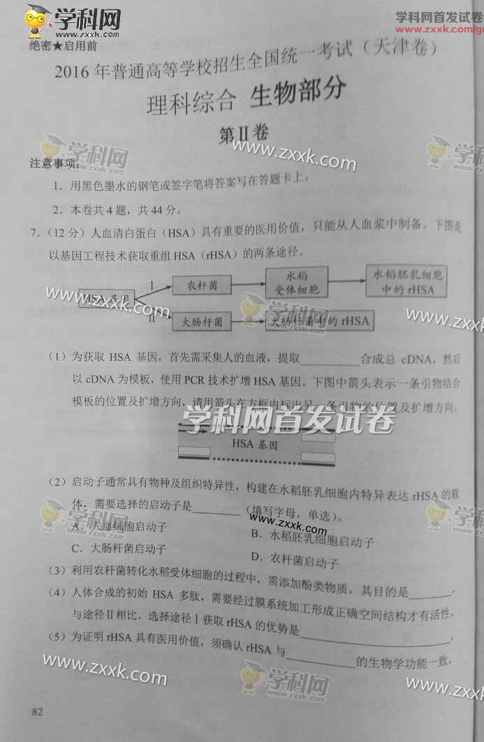 2016�����߿��������⼰�𰸣�ͼƬ��