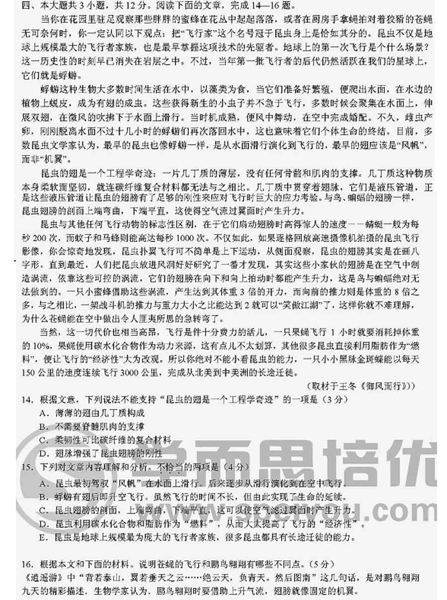 2013�걱���߿����⼰�����Ĵ����