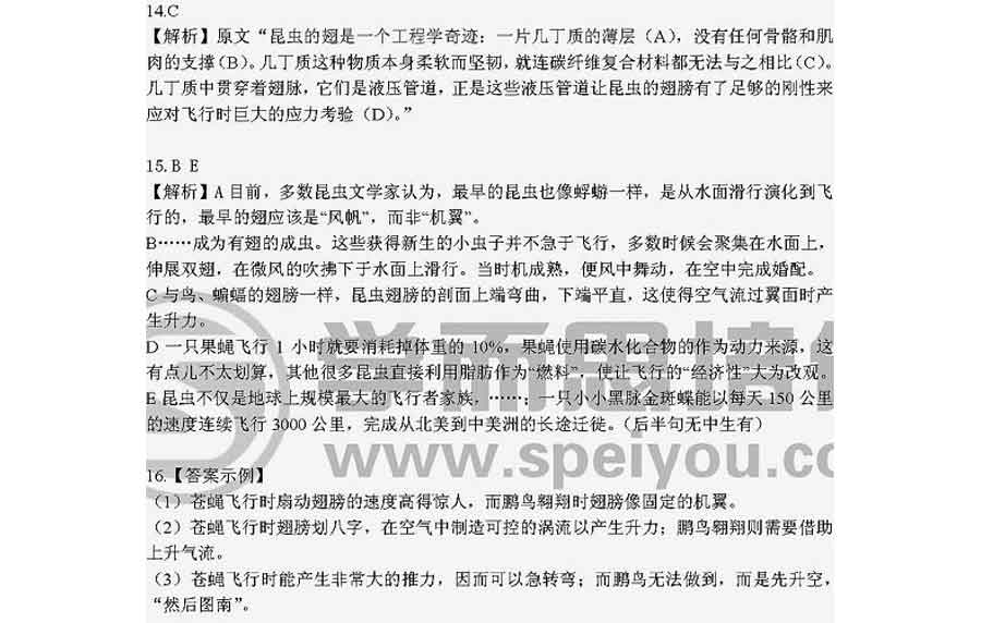 2013�걱���߿����⼰�����Ĵ����