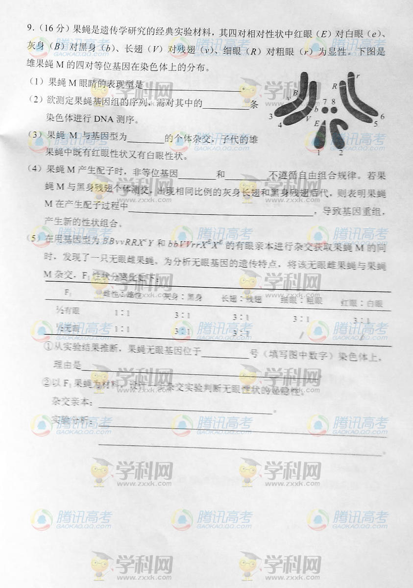 2014�����߿�������������⼰��/����