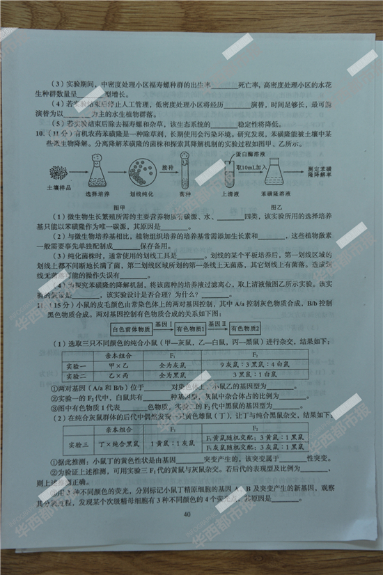 2014�Ĵ��߿��������⼰��(����������)