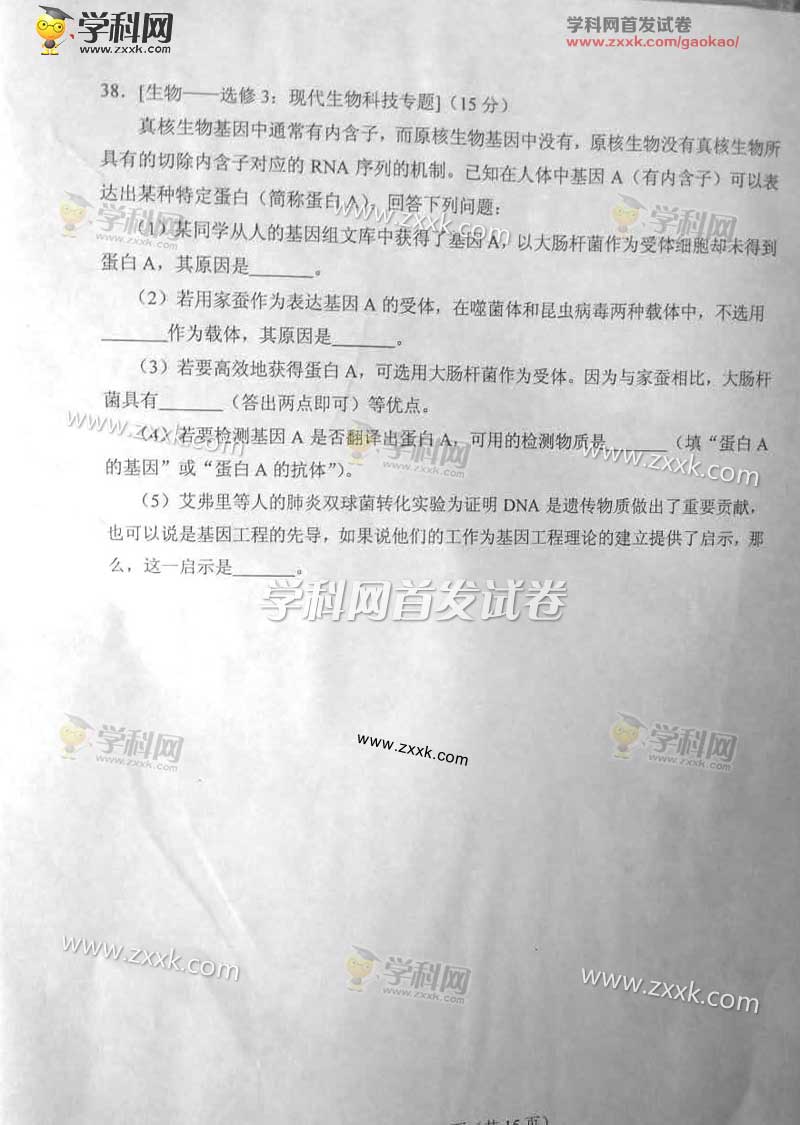 2017��ɽ���߿��������⼰�𰸣�ͼƬ�棩