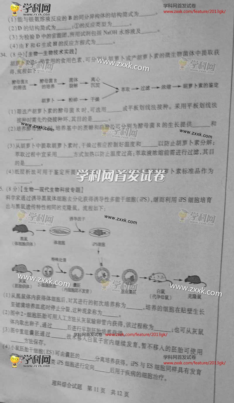 2013��ɽ���߿��Ծ��������⼰�𰸣�ͼ�İ棩