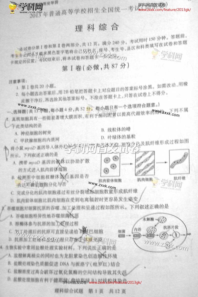 2013��ɽ���߿��Ծ��������⼰�𰸣�ͼ�İ棩