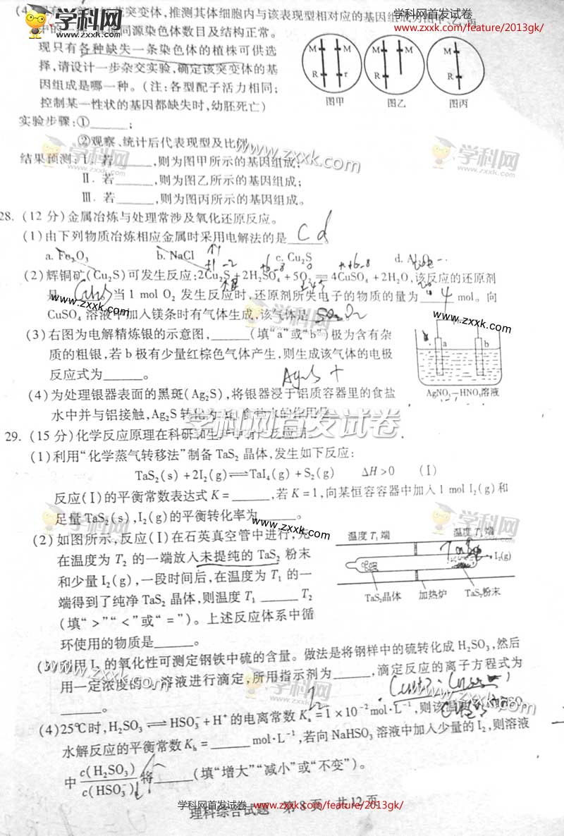 2013��ɽ���߿��Ծ��������⼰�𰸣�ͼ�İ棩