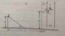 2016���Ĵ��߿���������𰸽�����word�棩