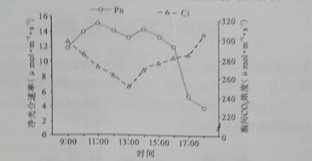 2016���Ĵ��߿���������𰸽�����word�棩