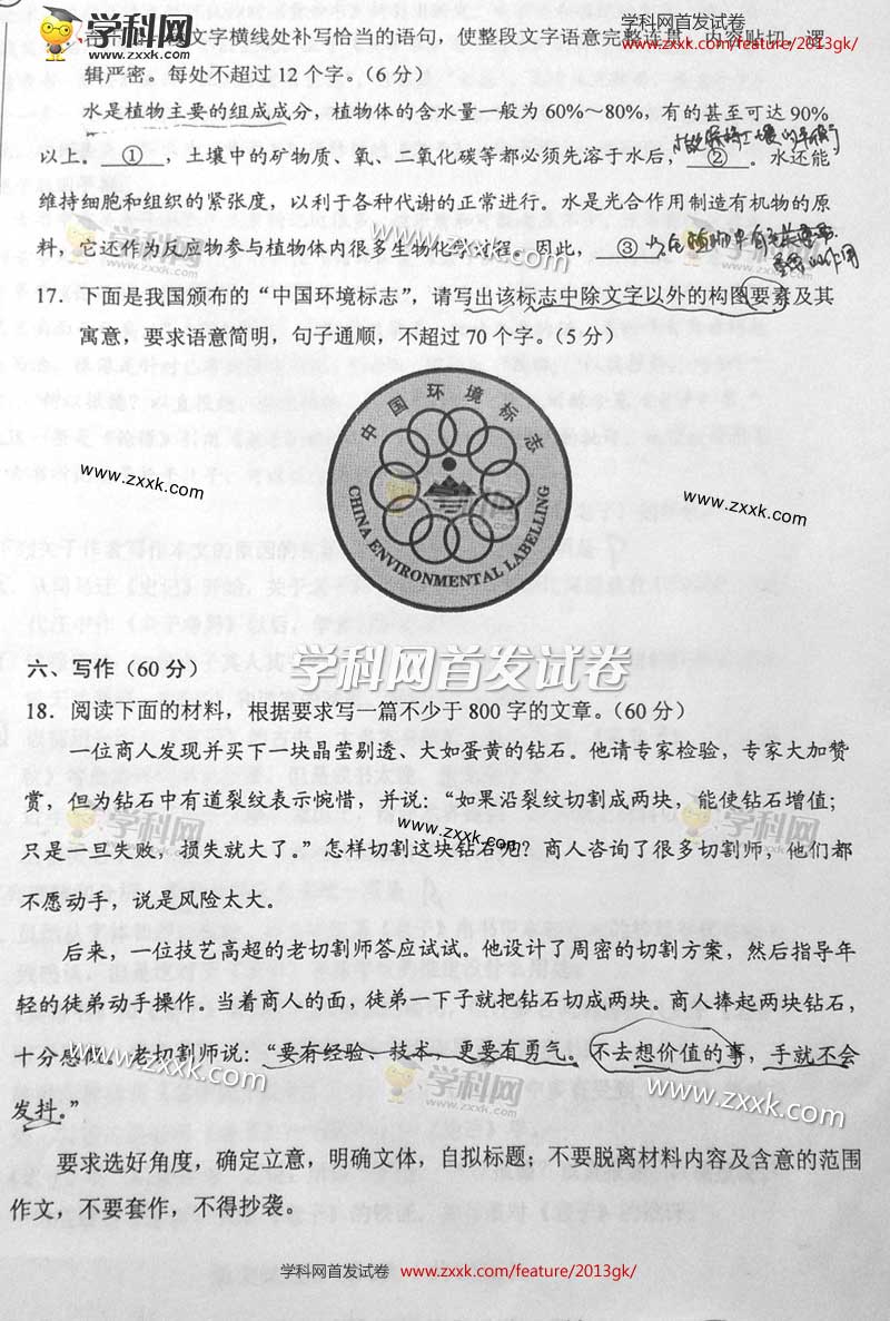 2013年宁夏高考语文试卷(图片版)