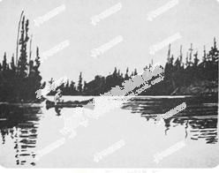 2014���ո߿��������⼰��/����