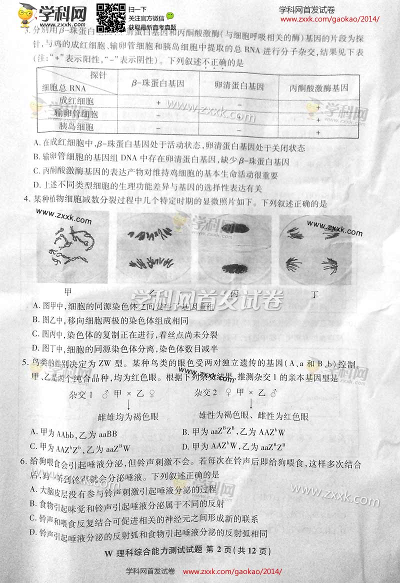 2014���ո߿����⼰�����۾���ͼƬ�棩