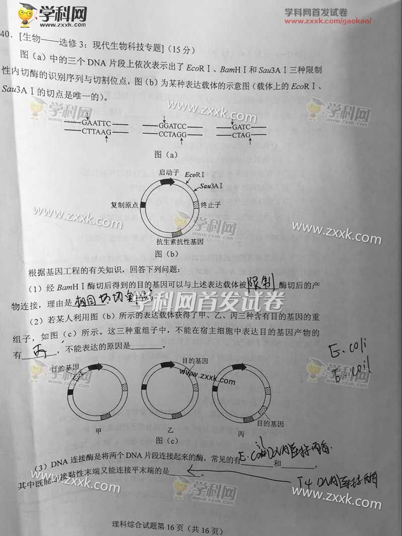 2016年广西高考理综试题(图片)