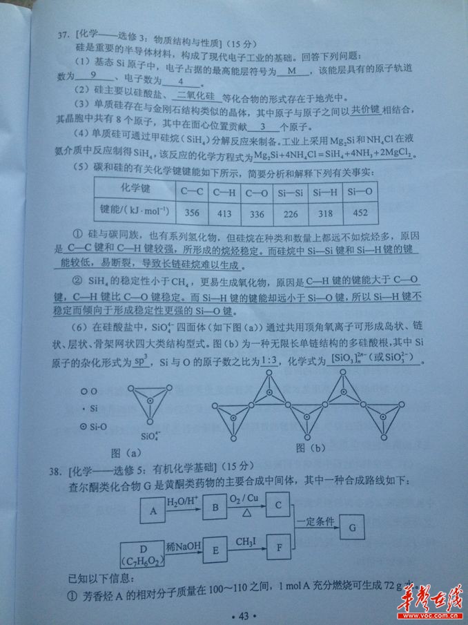 2013年宁夏高考理综试题及答案
