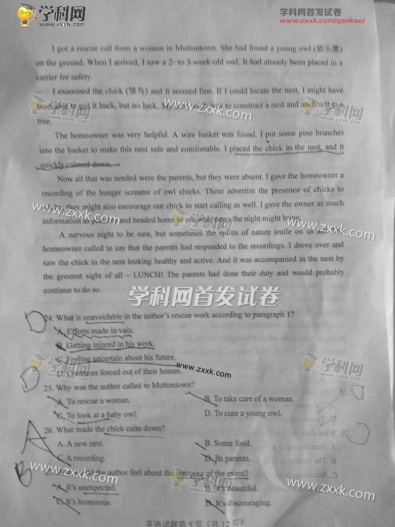 2017���ຣ�߿�Ӣ�����⣨ͼƬ�棩