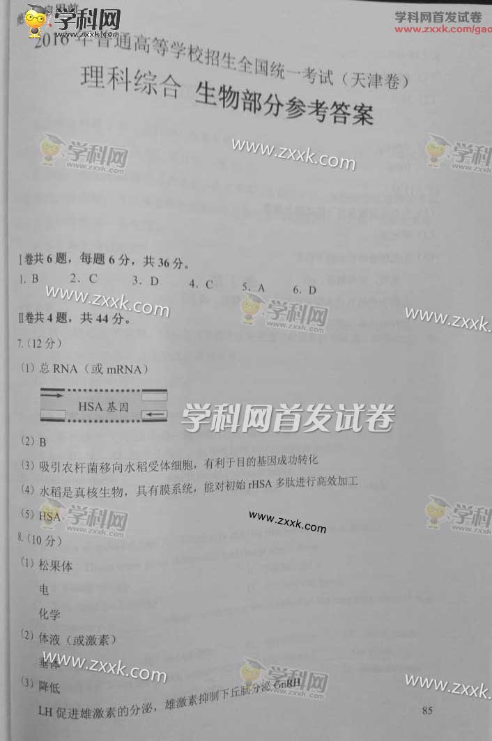 2016�����߿����������