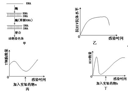 2013��ȫ���߿��¿α�������������⣨word�棩