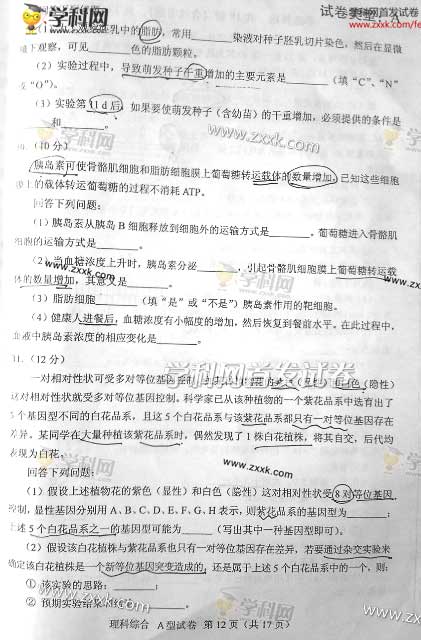 2013�����ɹŸ߿����⼰�������Ծ���ͼƬ�棩