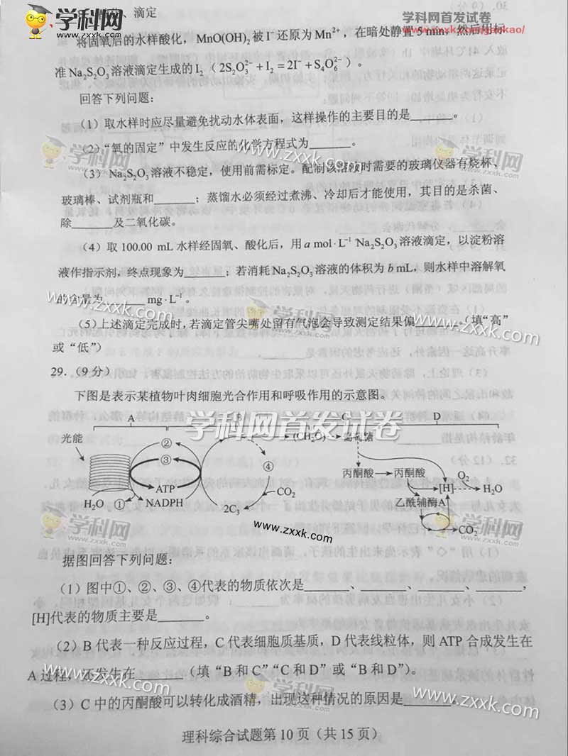 2017������߿��������⼰��(ͼƬ��)