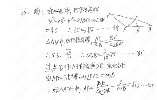 2015���ո߿������������ѧ�𰸣����Ѱ棩