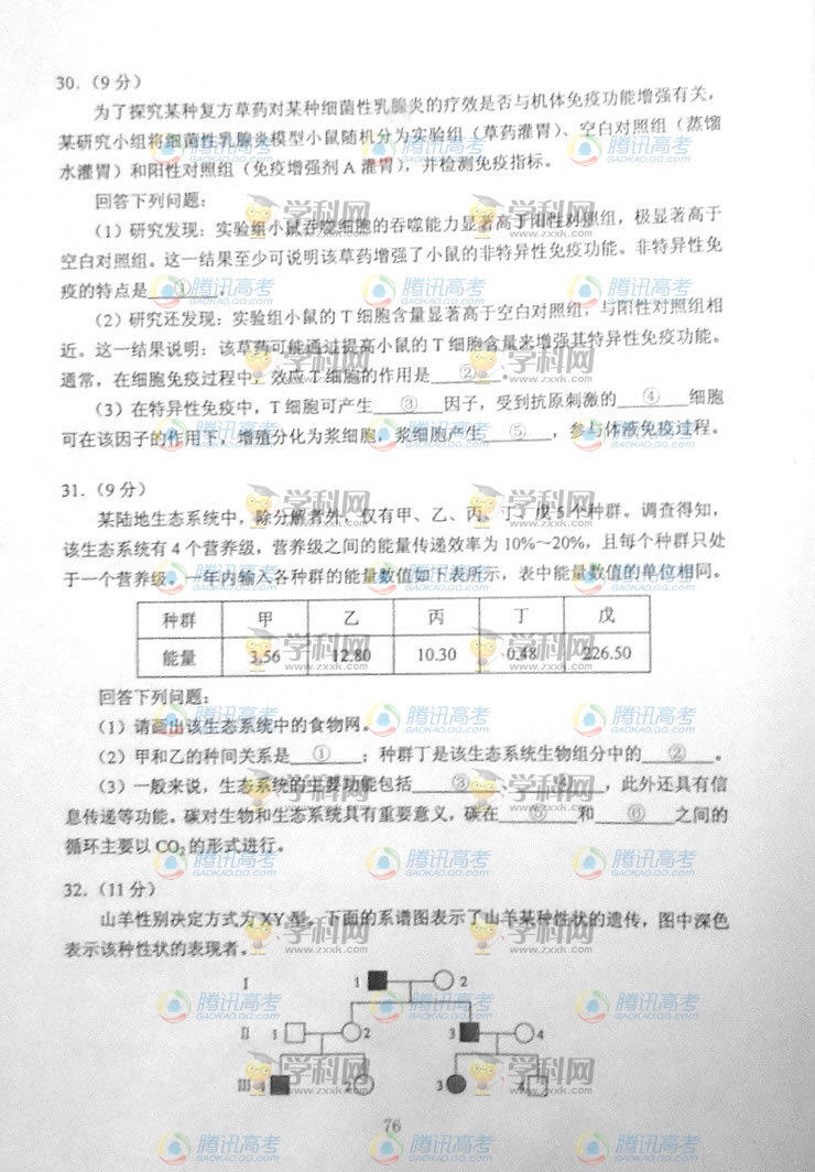 2014�������߿��������⼰�𰸽���