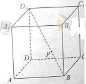 2013�걱���߿��Ծ��Ŀ���ѧ����(word��)