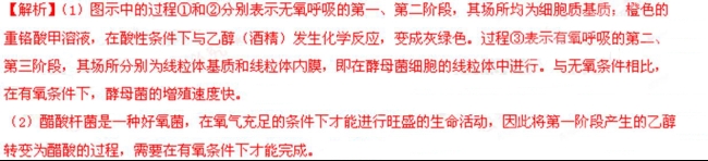 2016������߿���������𰸽���(word��)