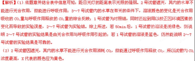 2016������߿���������𰸽���(word��)