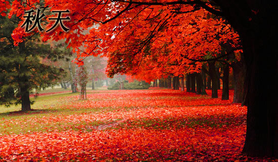 ���������һ����