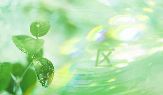 �������Ҵ����ѧ˵�θ�