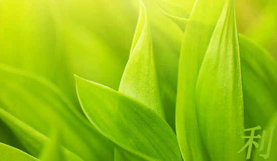 ����Ƶ�ʹ��Ƹ��ʵ�˵�θ�