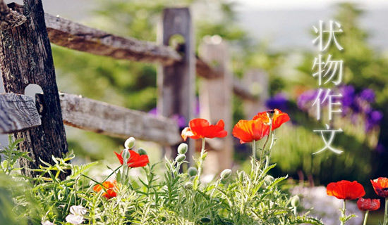 ÄãÒªµÄÐÒ¸£ÎÒ¸ø²»ÁËÈÕ¼Ç600×Ö