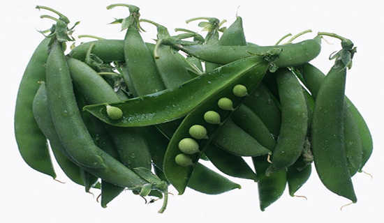 豆豆里故事心情日记