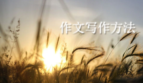 �˰����ĸ���ǩ������Щ