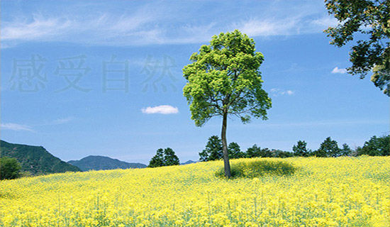 ������ȥ���ܴ���Ȼ����