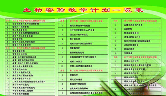 奥林小学班主任教学工作计划