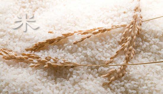 �״�����ͯ������