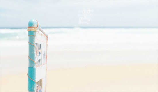 �����Ĺ�������ӵĹ���