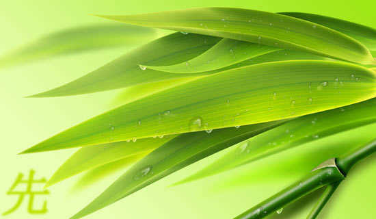 A������P����ͯ������