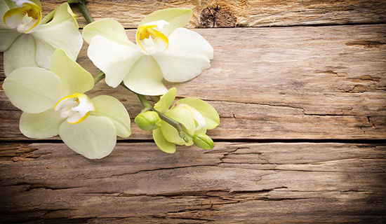 ��ѧ���˰�ɳ��Сѧ����