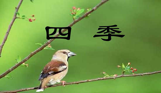 季节的旋律散文