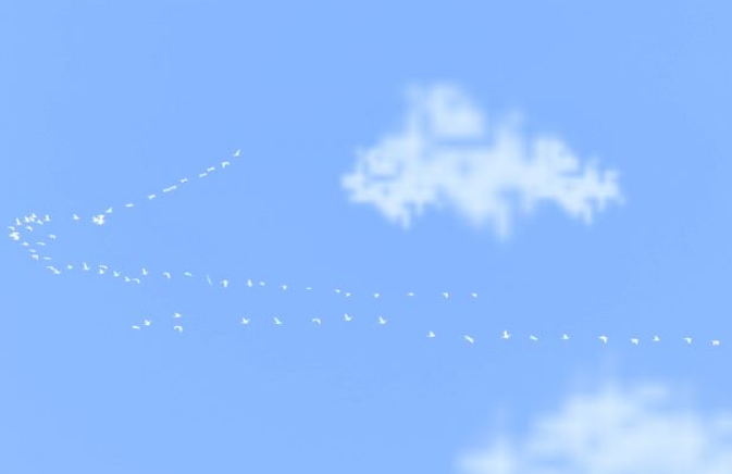 ��һ�����Լ���˵˵