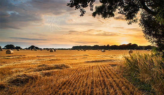 农夫和干酪故事