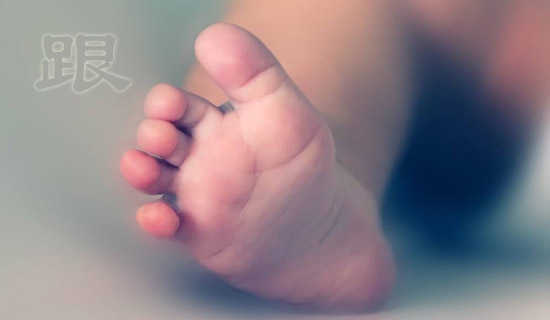 ���������籾�Ĺ��