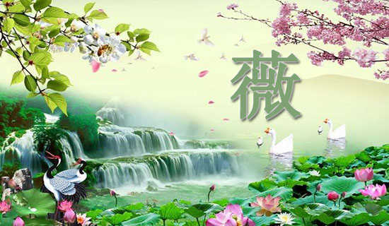 Ǿޱ��͵���ǵĹ���